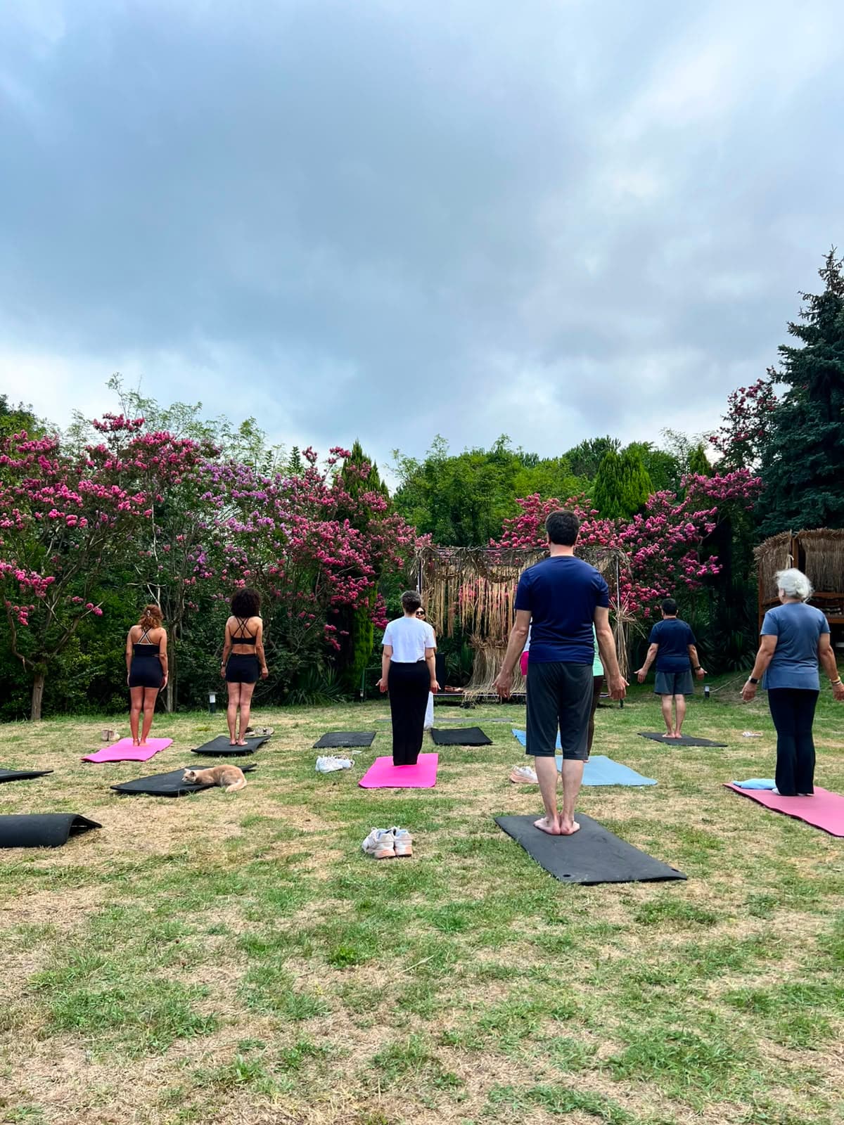Fitness Kampında Yoga ve Mobility Neden Programın Temel Parçasıdır?