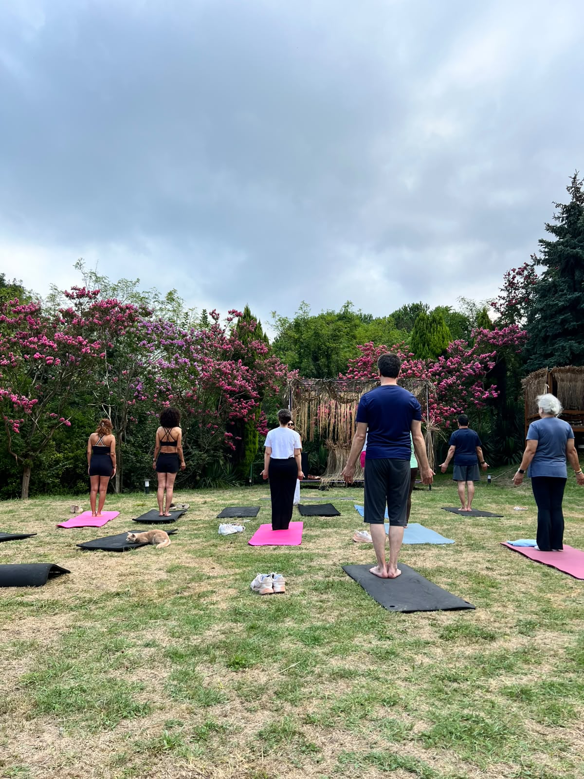 Doğada sabah yoga seansı